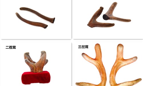 长期不洗澡身体会痒吗-长期不洗澡身上会起包-专业长期不洗澡皮肤长红点图片大全平台-长期不洗澡会皮肤发炎吗