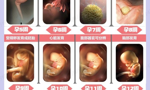 长期不洗澡身体会痒吗-长期不洗澡身上会起包-专业长期不洗澡皮肤长红点图片大全平台-长期不洗澡会皮肤发炎吗